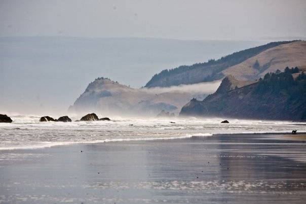 Surftides Lincoln City