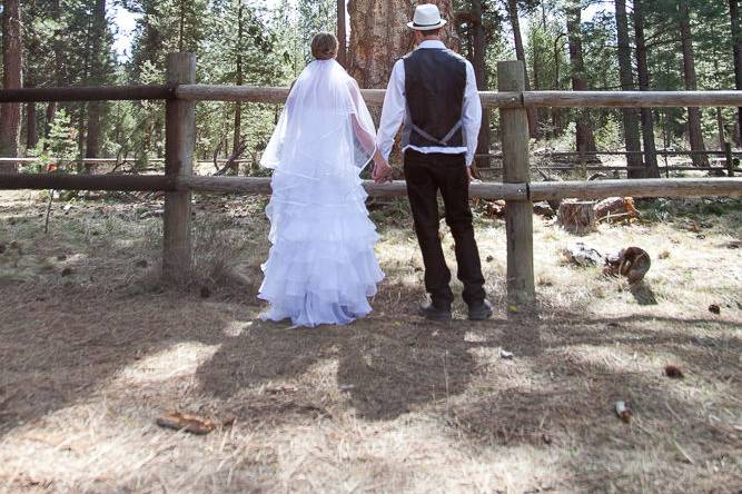 Shasta Lin Photography