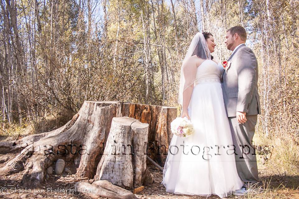 First Look