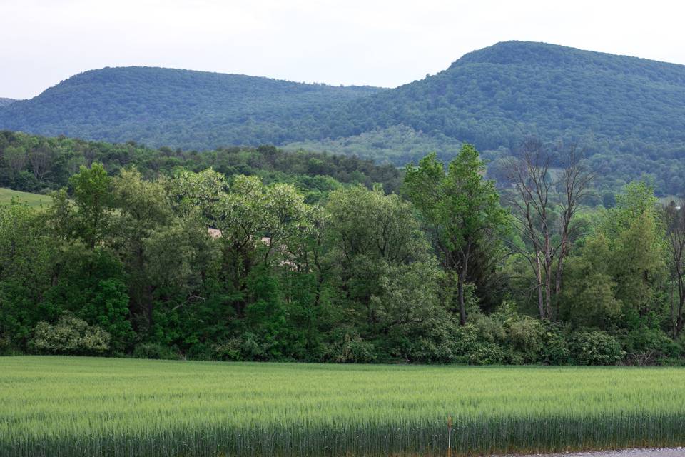 HAWK MOUNTAIN