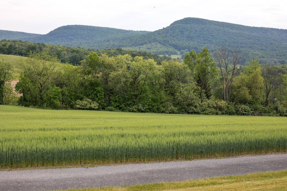 HAWK MOUNTAIN