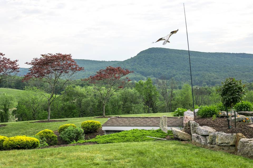 HAWK MOUNTAIN