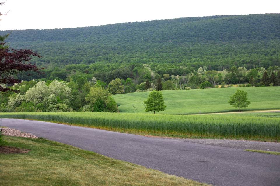 HAWK MOUNTAIN