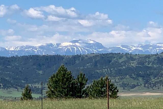 Beartooth Mountain View