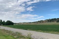 View of the hay field in Sprin