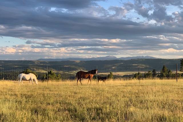 Big Sky View