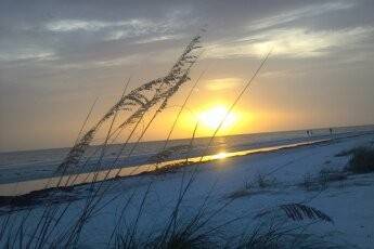 Callahan Travel & Cruise