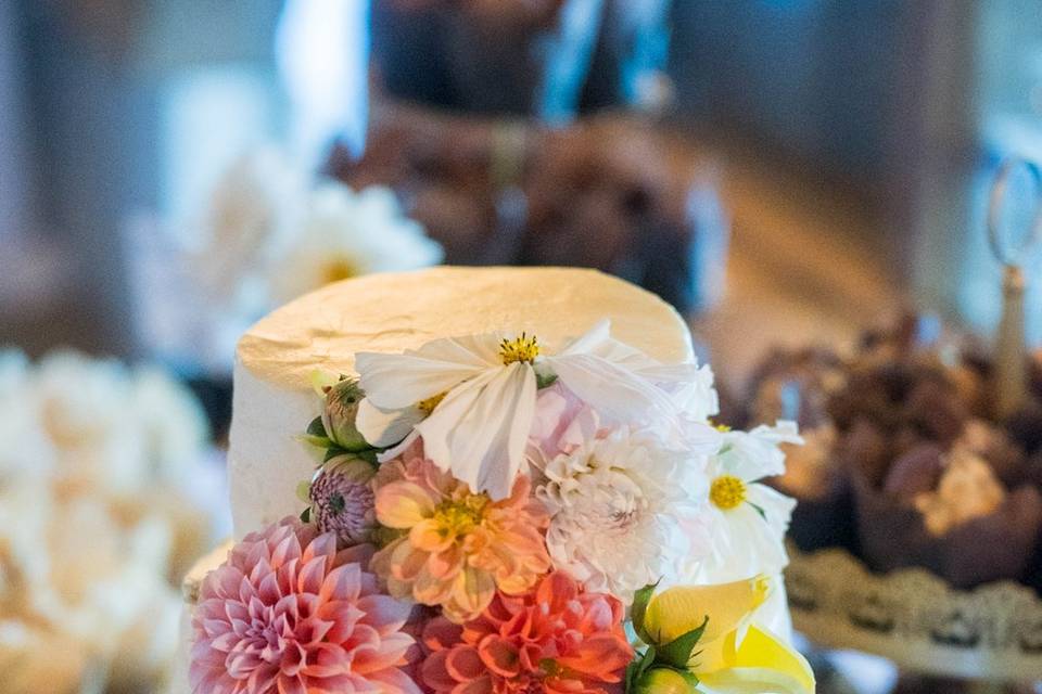 Bellagala | Cleveland