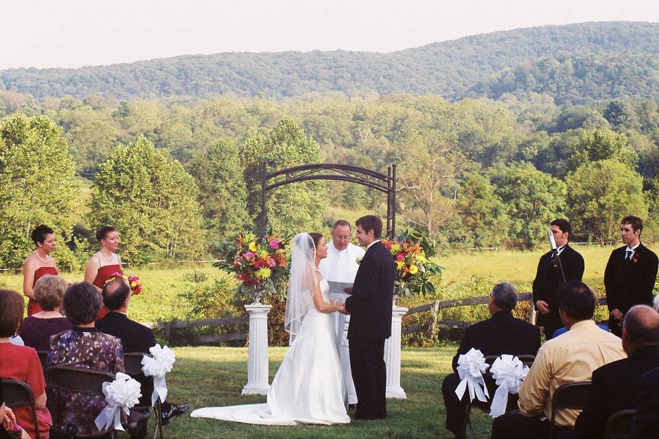 Groom kissing his bride