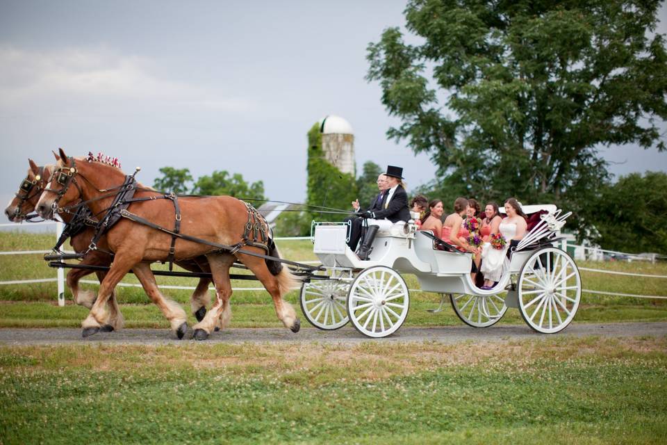 Briar Patch Bed & Breakfast Inn