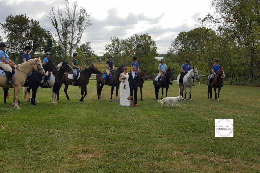 Horses at the wedding ceremony