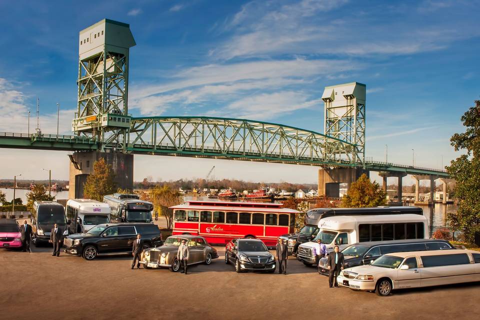 Azalea limousine fleet