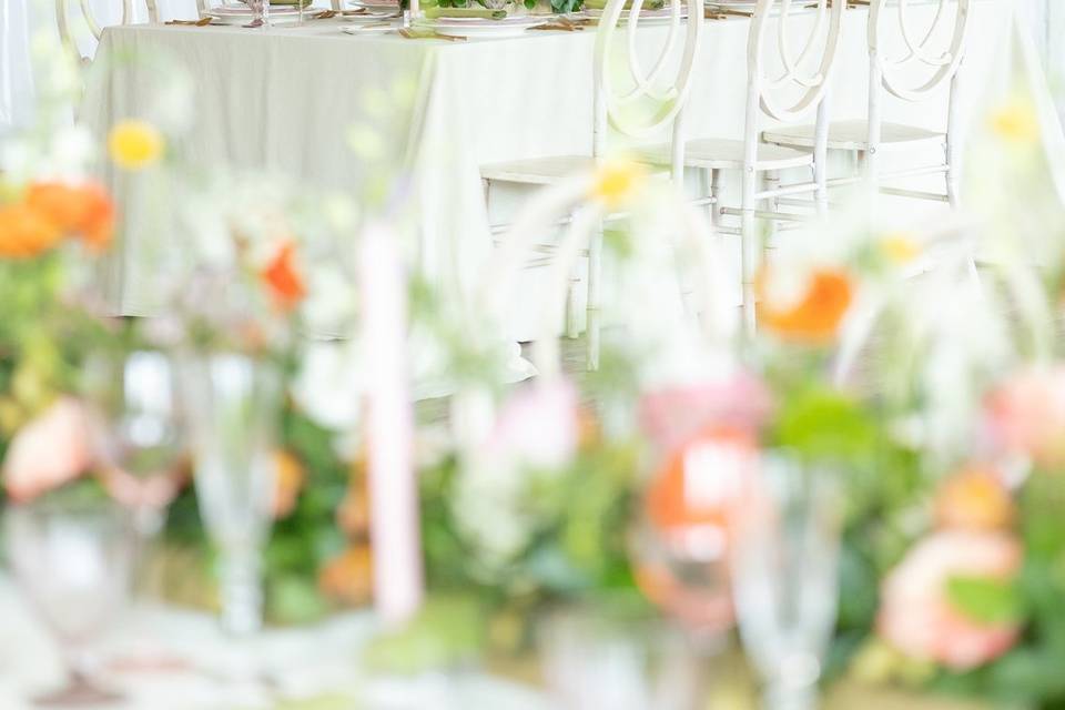 Reception Details