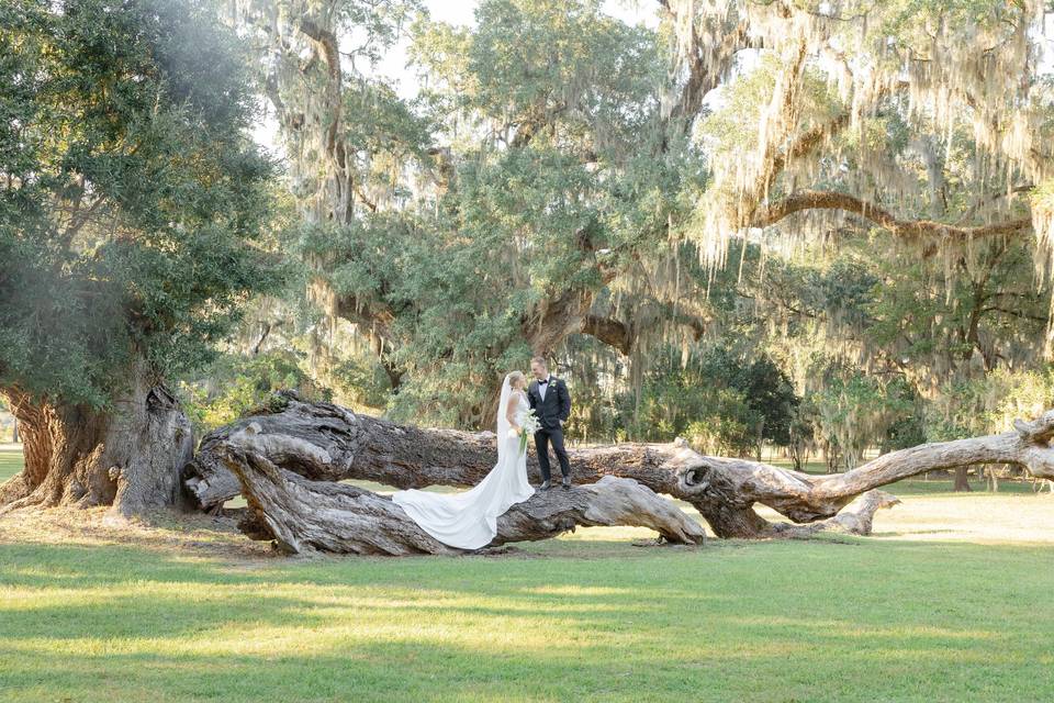 Bride and Groom Portrait