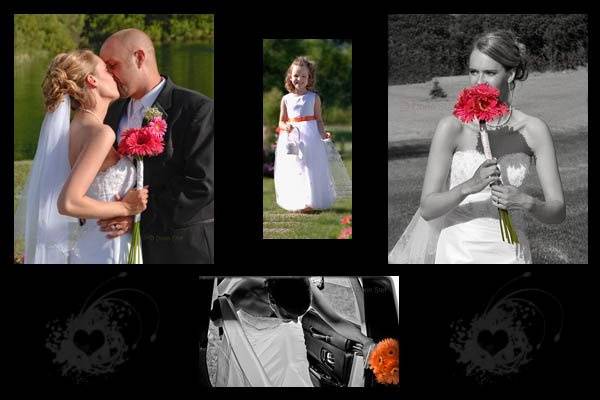 SDPHOTOART