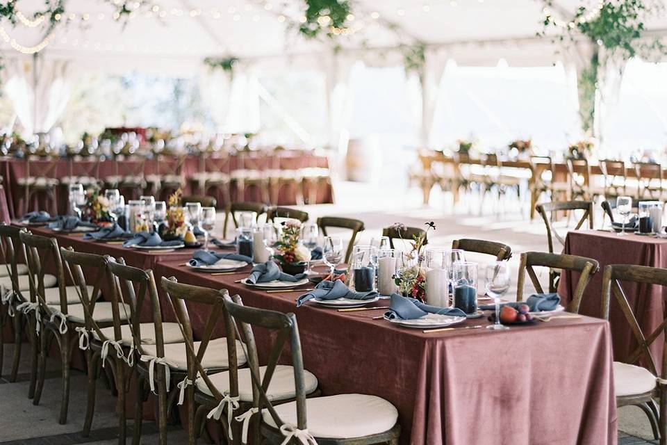 Blush Velvet table linens.