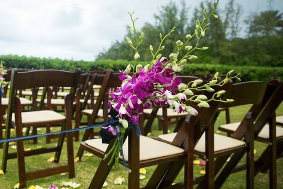 Fruitwood Folding Chair