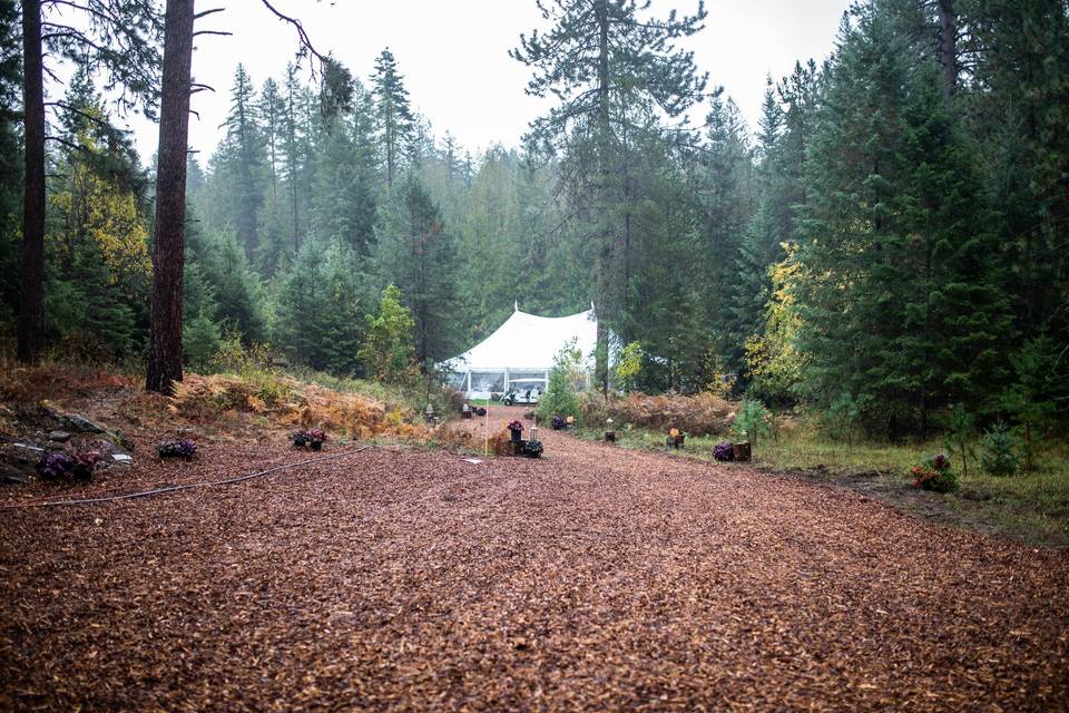 Sailcloth tent in the forest