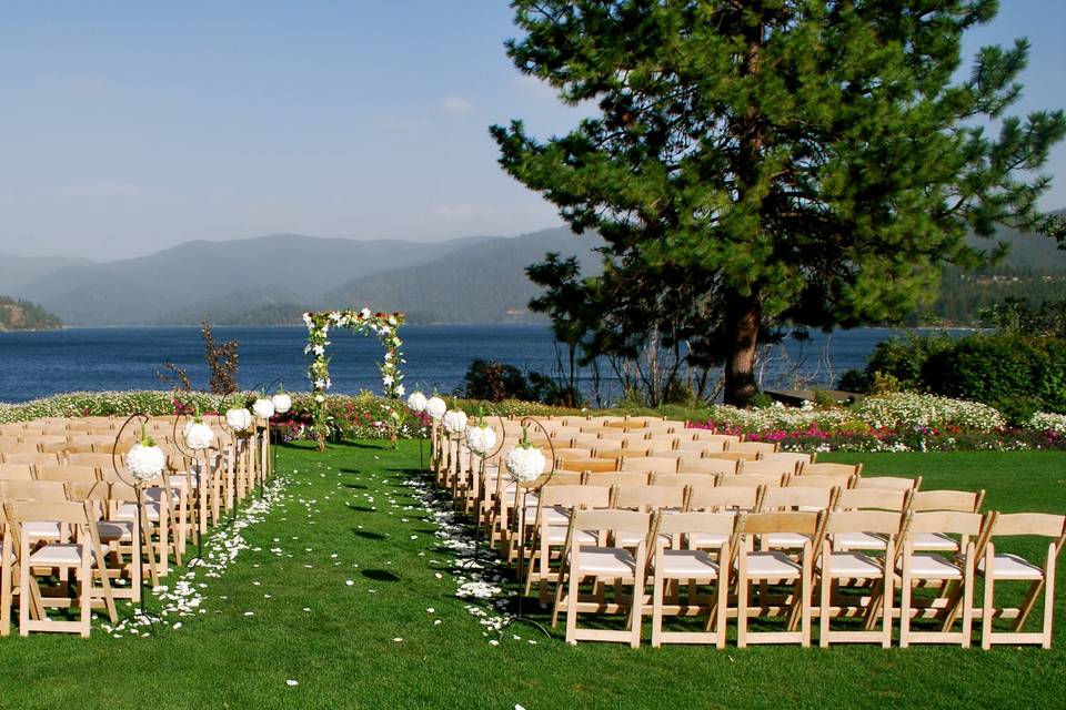 Natural Wood Chairs