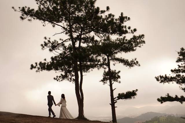 Pictures at the Peaks