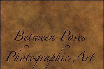 Between Poses Photography