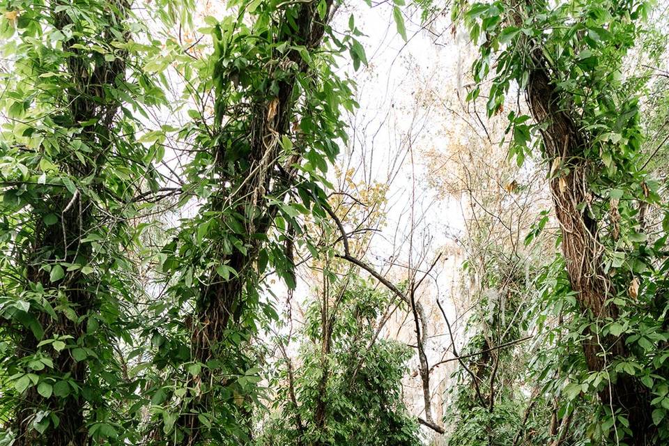 Picture your self here...