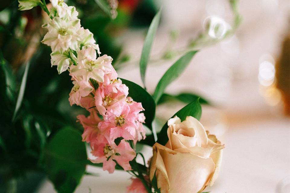 Stricking Bouquets