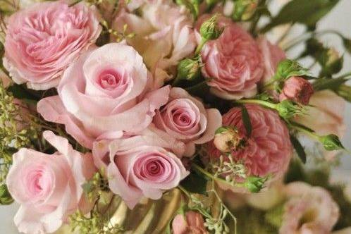 https://cdn0.weddingwire.com/vendor/524810/3_2/960/jpg/pink-rose-centerpiece_51_2018425-165064501014061.jpeg