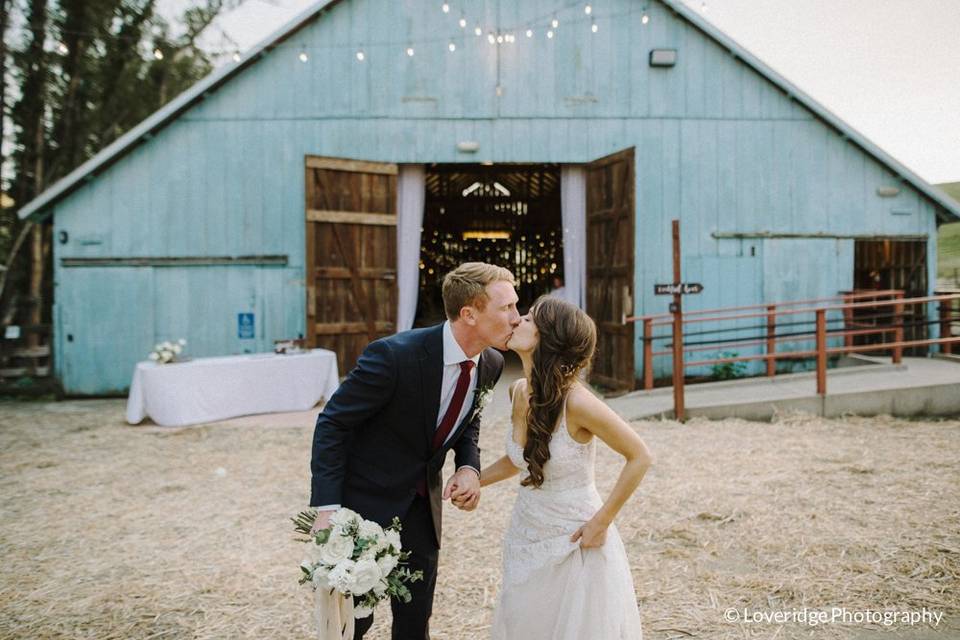 Reception Barn