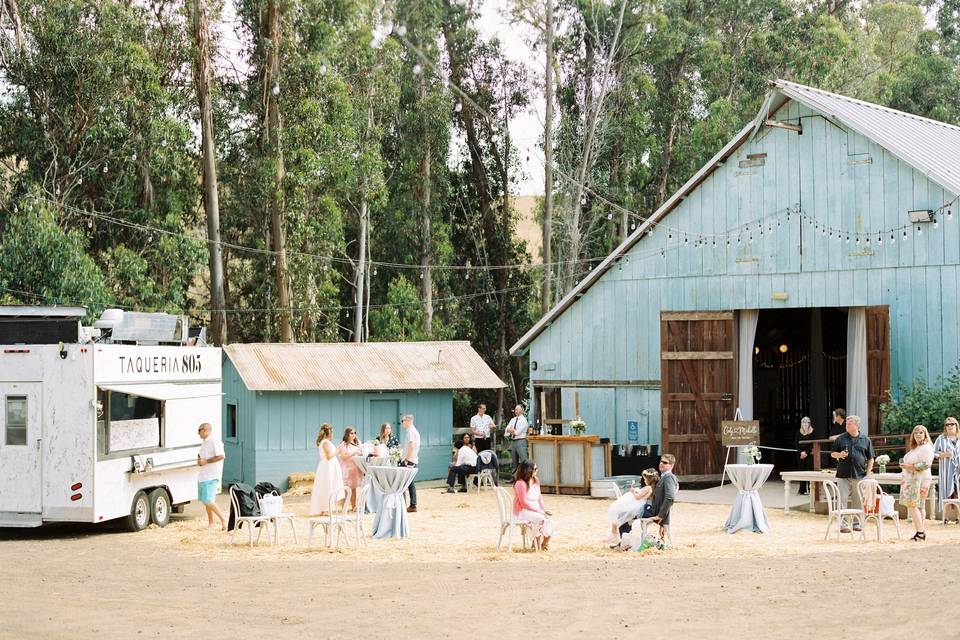 Cocktail Hour in Barnyard