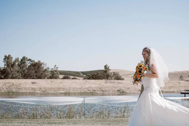 Circle S Ranch and Vineyard