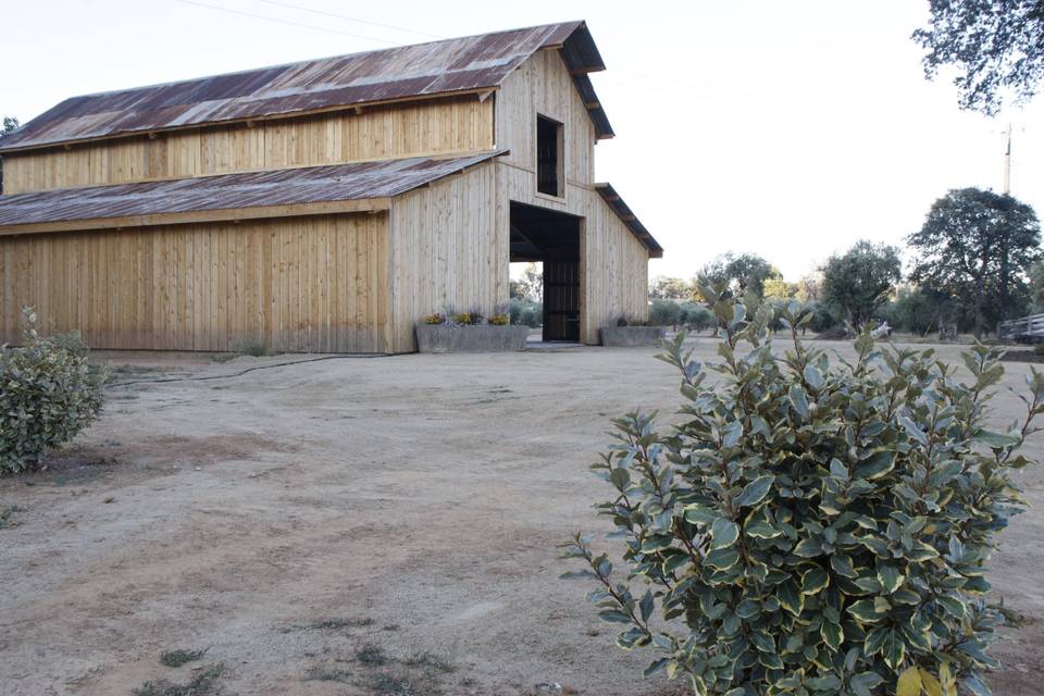 Side if Barn