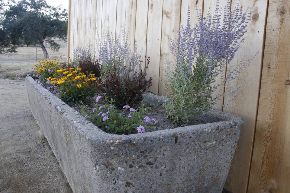 Concrete Planter