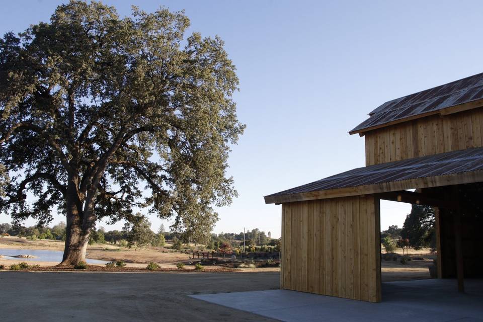 Barn from Bar