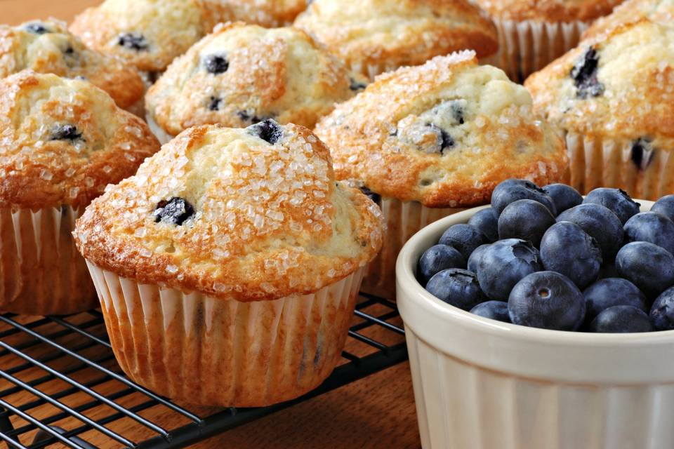 Baked blueberry muffins