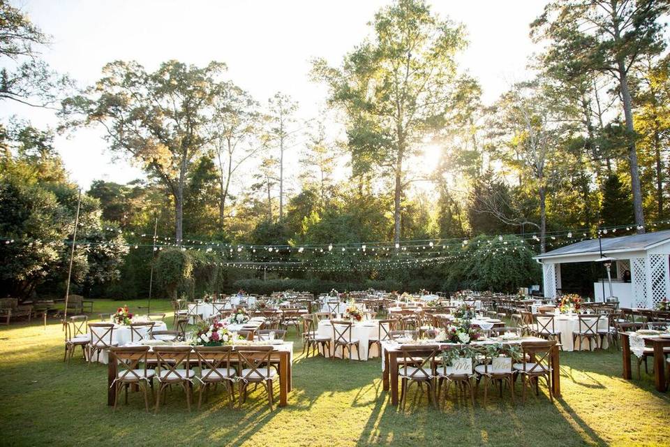 Outdoor Reception