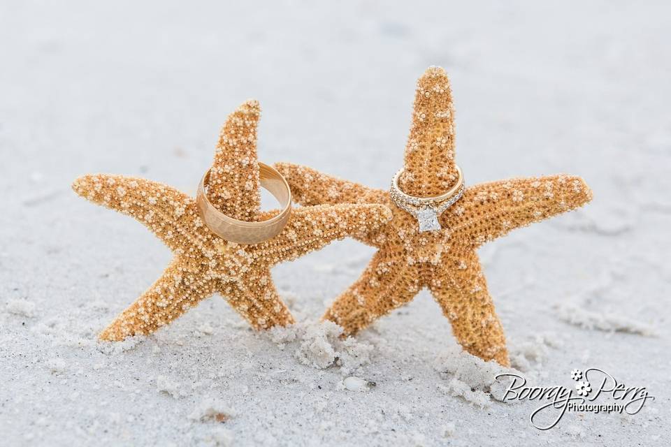 Starfish decorations