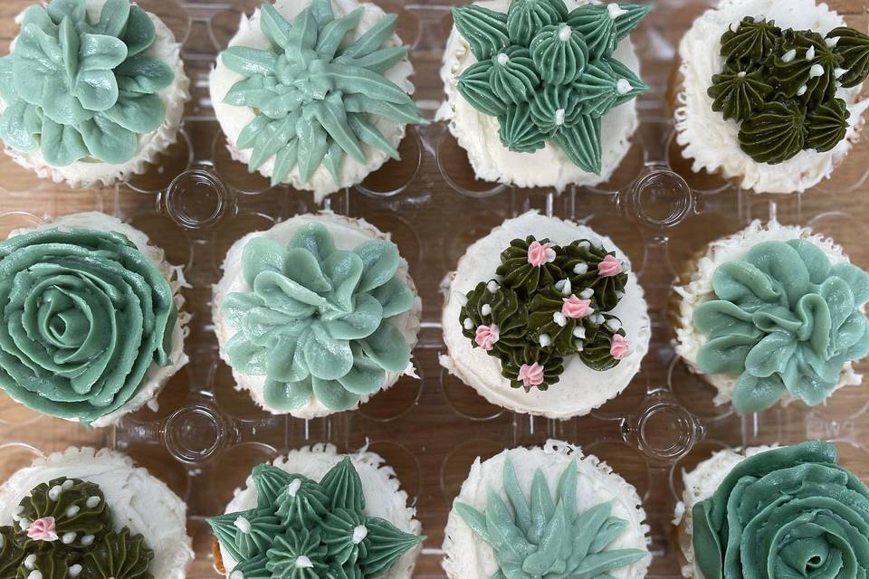 Succulent cupcakes