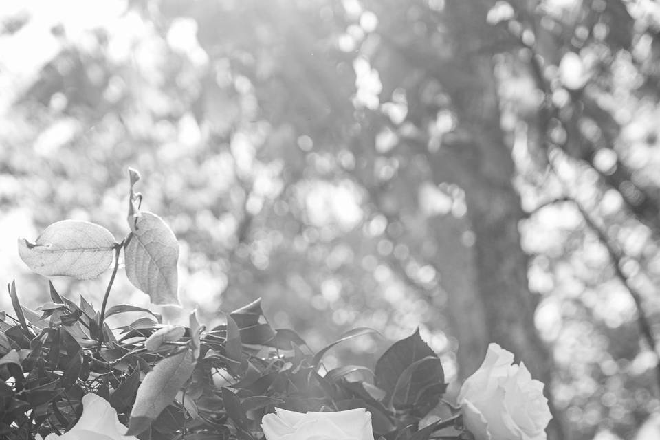 Flower arch close up