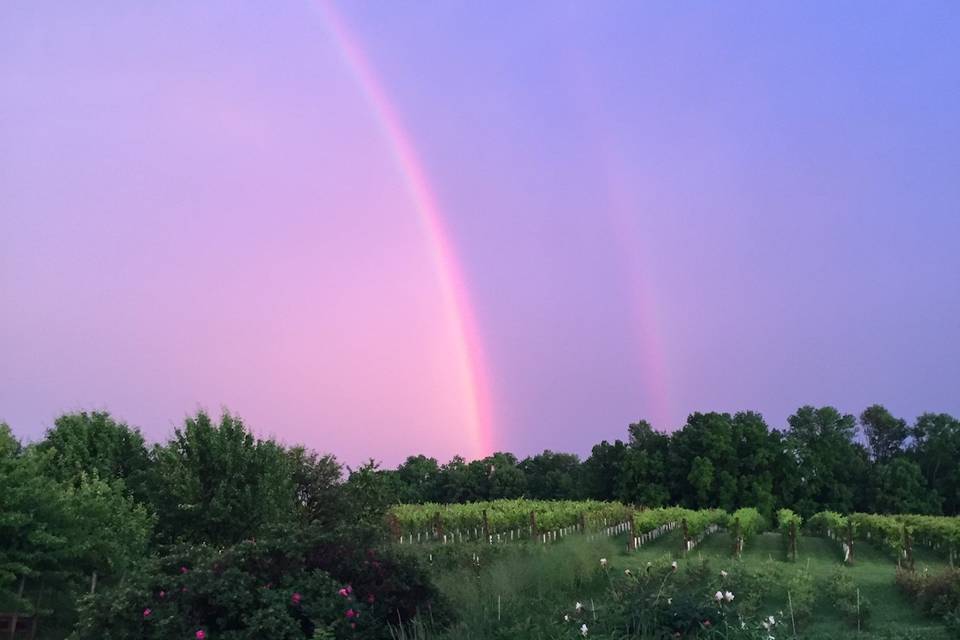 Evening Rainbows