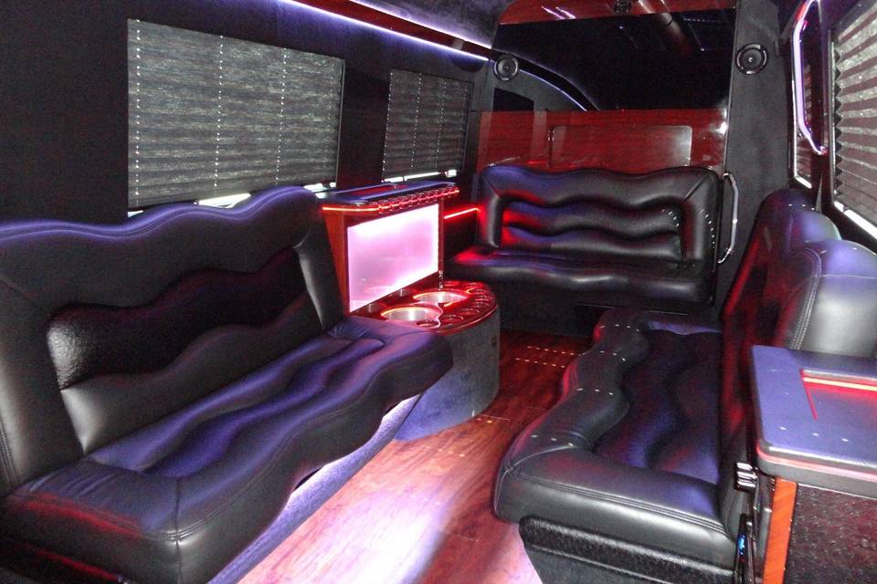 Luxury party bus