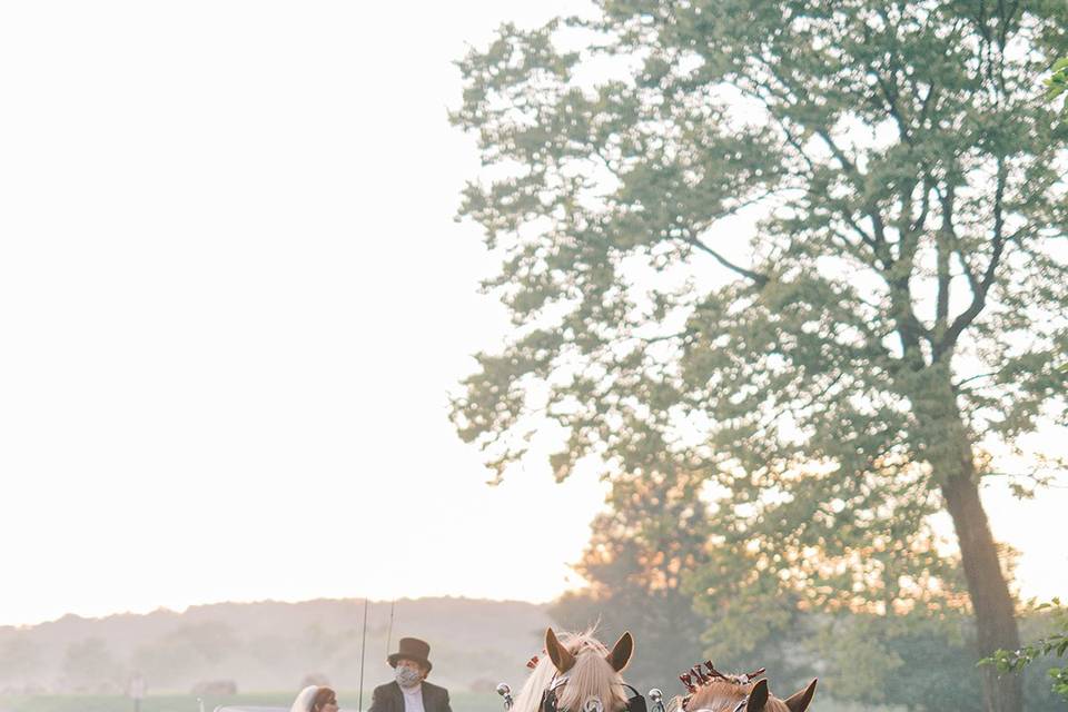 Horse and carriage