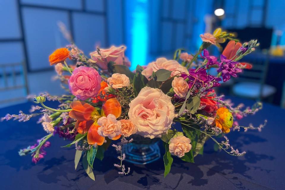 Colorful Reception