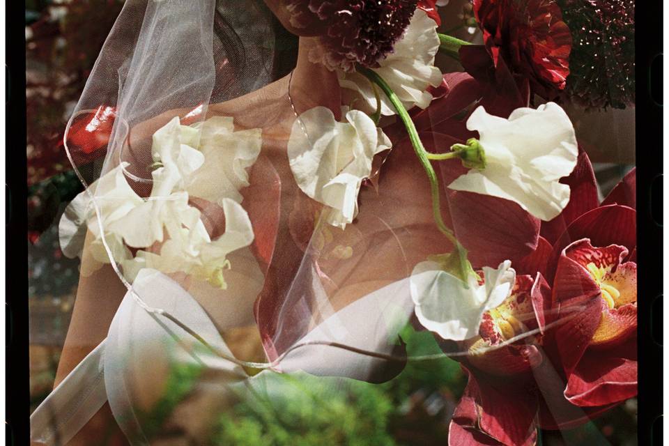 Wisconsin Film Wedding Photo