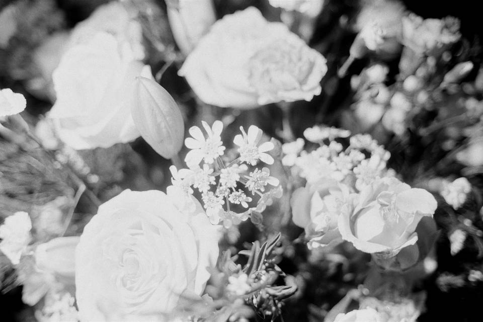 Wisconsin Film Wedding Photo