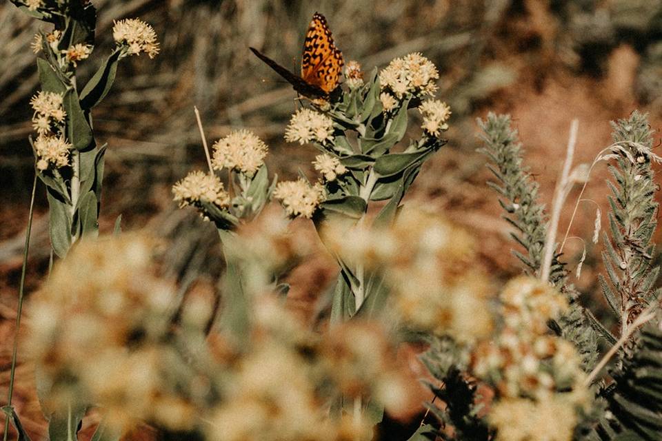 Boulder Logan and Caroline