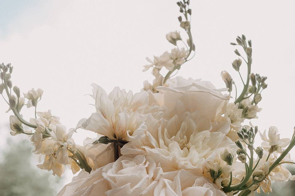 Chatfield Paige + Andrew