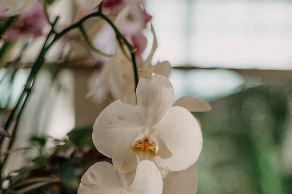 Denver Ruby + Roberto