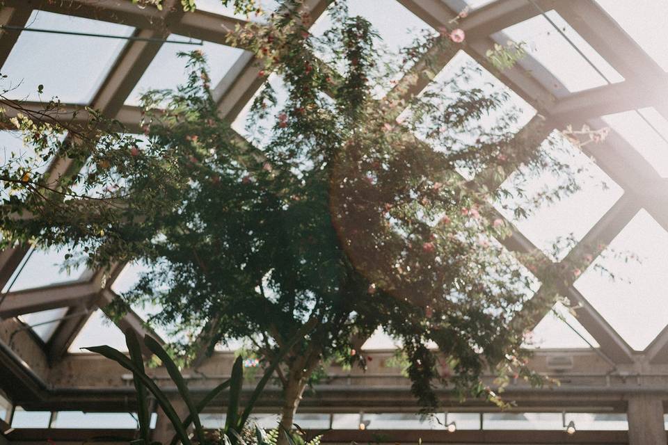 Denver Ruby + Roberto