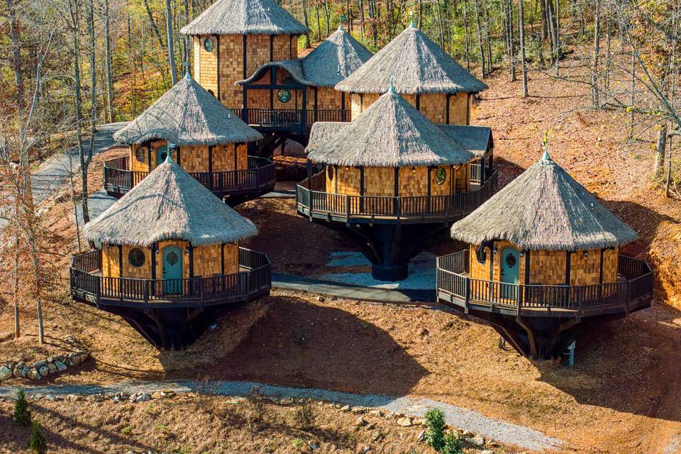 Elven Grove